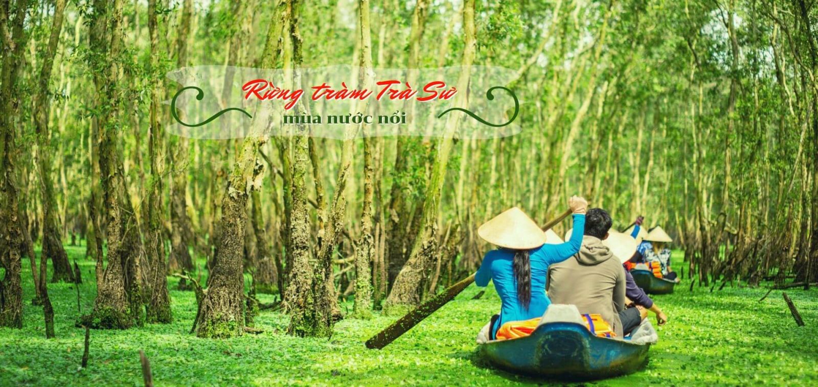 rung tram tra su an giang
